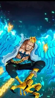 Marco one piece