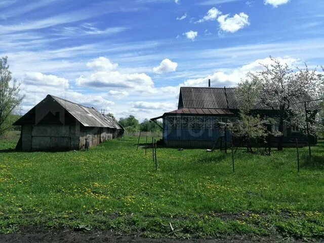 Пензенская область, Земетчинский р-н, с. Ушинка. Село Ушинка Пензенская область. Село Ушинка Земетчинского района Пензенской области. Пензенская область Земетчинский район село Ушинка ул Береговая.