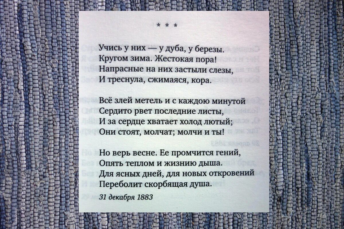 Анализ стихотворения учись у них фет. Стих. Стих ещё Майская ночь. Стихотворение Фета Майская ночь. Стихотворение Фета еще Майская ночь.