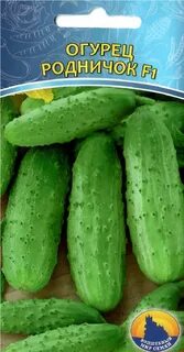 Сорт огурцов родничок