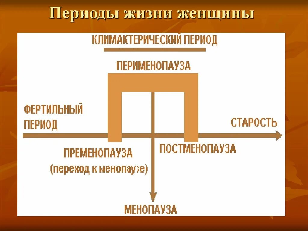 Roma пременопауза. Переводы жизни женщины. Периоды жизни женщины. Периоды в гинекологии возрастные. Возрастные периоды женщины в гинекологии.