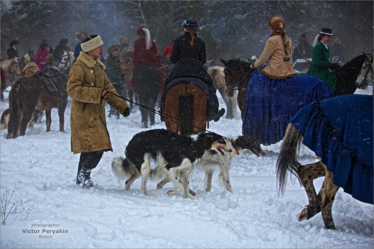 Тихменев псовая охота. Королевская охота в англии. Царская псовая охота. Охота в англии 19 век. Псовая охота фет.