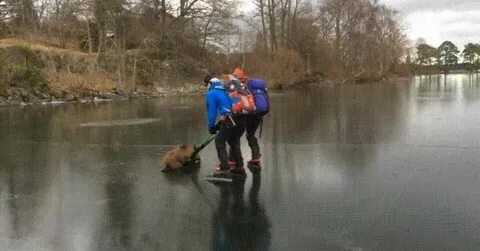Застряла анимация