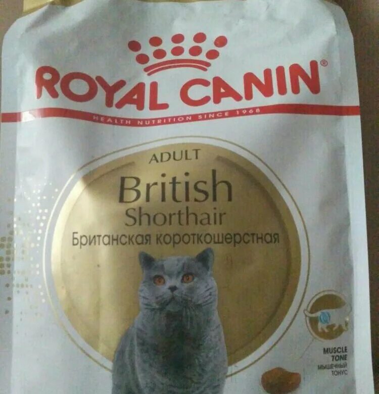 Корм для котят роял канин. Роял канин для британских влажный. Каким кормом кормить британскую. Корм кота британца. Royal canin для британских котят.