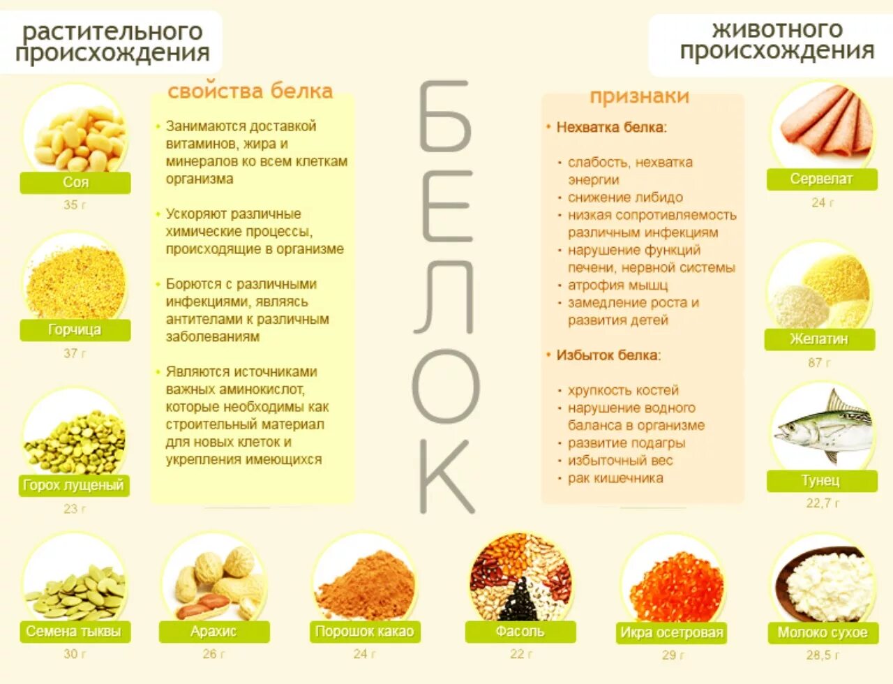 Можно ли белок в пост. Белок в растительных продуктах таблица. Продукты содержащие белок в большом количестве таблица. Список продуктов в которых содержится белок. Продукты с высоким содержанием белка.