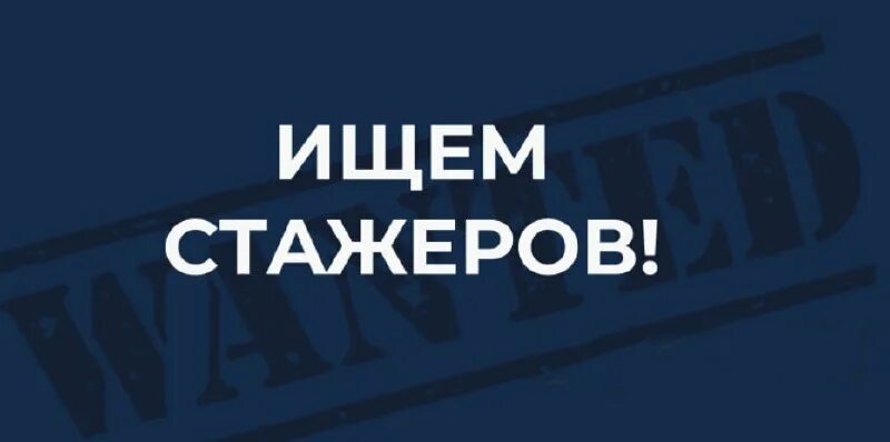 стажер это определение. ищем стажера картина. управление контрактами. контрактный менеджмент. портфолио стажера.