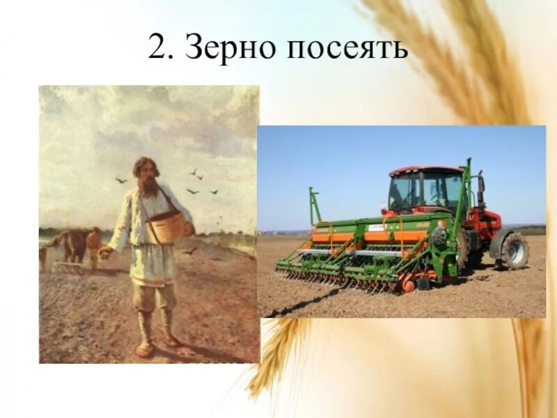 Сеют пшеницу. Сеять зерно. Сеет 2 зернышка. Посеять зерно сомнения. Доски пилят пилой зерно сеют сеялкой