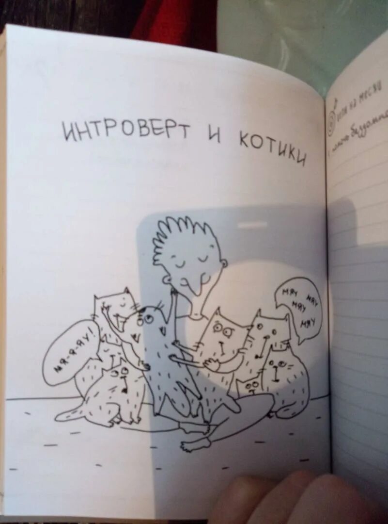 Интроверты книга. Интроверт книга. записки интроверта. радость интроверта. дневник интроверта.