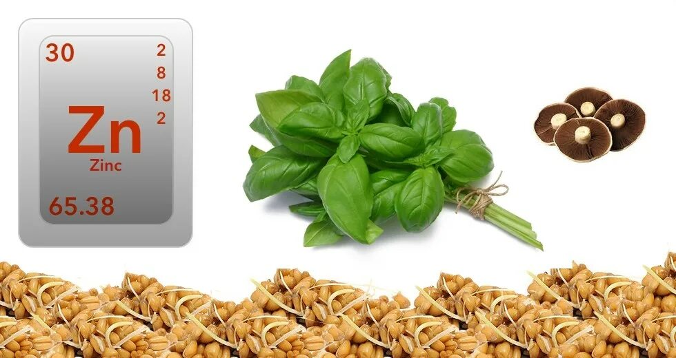 Цинк в питании. Цинк микроэлемент. цинк в продуктах. цинк в растительной пище. цинк в зелени.