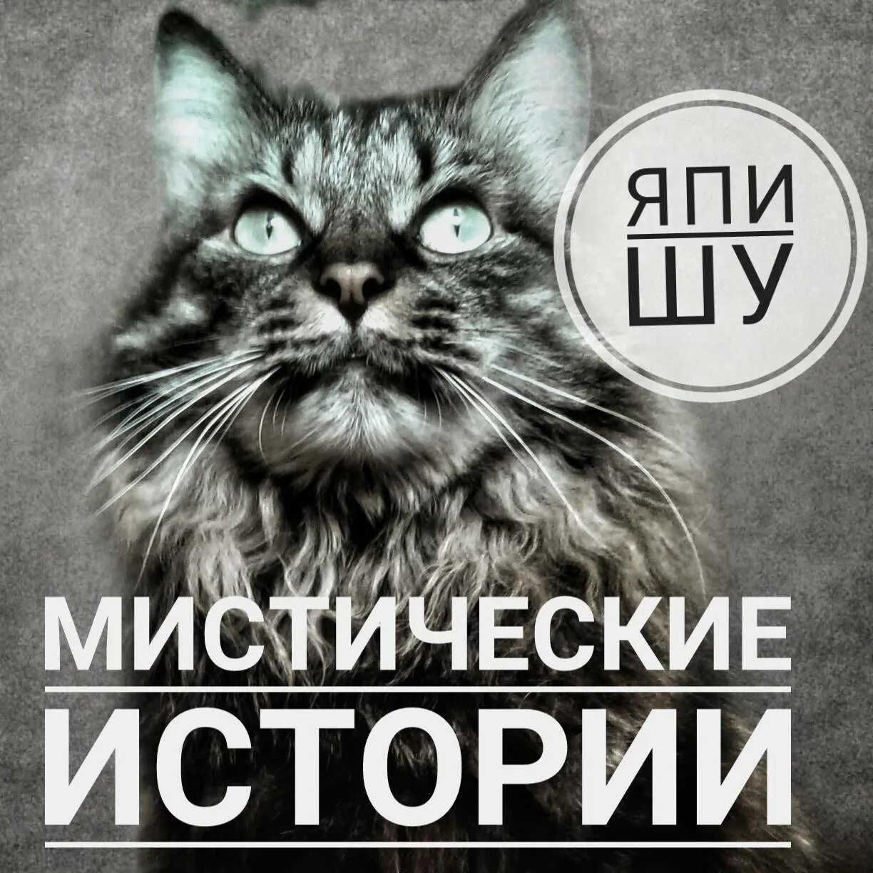 Япи. Дзен мистические рассказы. япи япи.