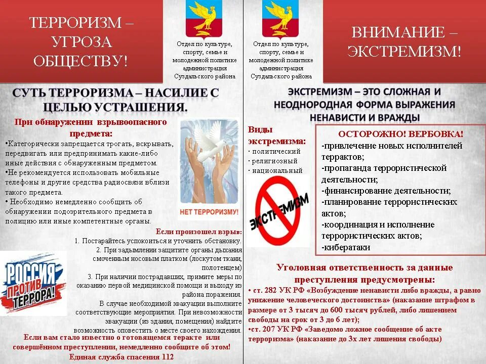 Проект противодействия экстремизму и терроризму. Профилактика терроризма. Профилактика экстремизма. Профилактика по терроризму. Профилактика экстремистской и террористической деятельности.