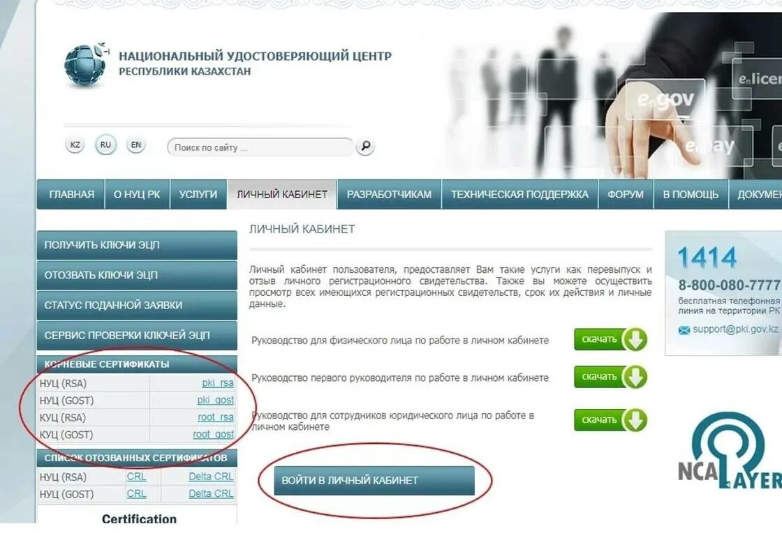 Https pki gov. Электронная подпись. Как продлить электронную подпись. Цифровая подпись для физического лица. Ключ ЭЦП.