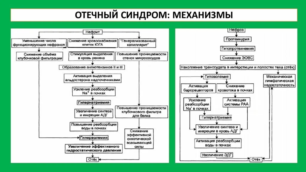 Отечный синдром характерен для