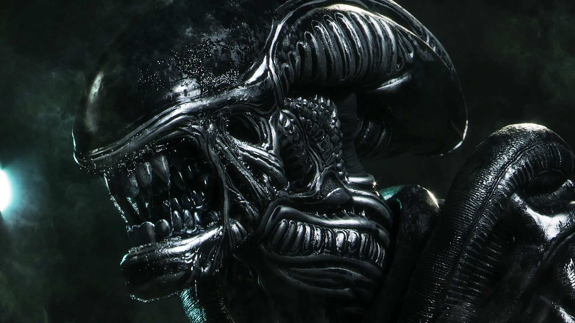 Почему хорош чужой. Alien 3 Xenomorph. Чужой Ксеноморф и хищник. Чужой против хищника 2004 Королева.