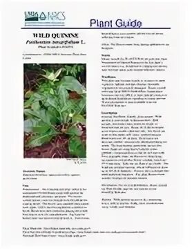 Plant guide
