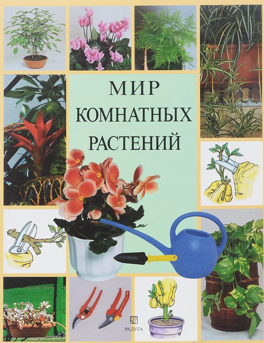 Мир комнатных растений. Книга мир комнатных растений. Комнатные цветы обложка. Комнатное цветоводство. Соломенникова мир комнатных растений