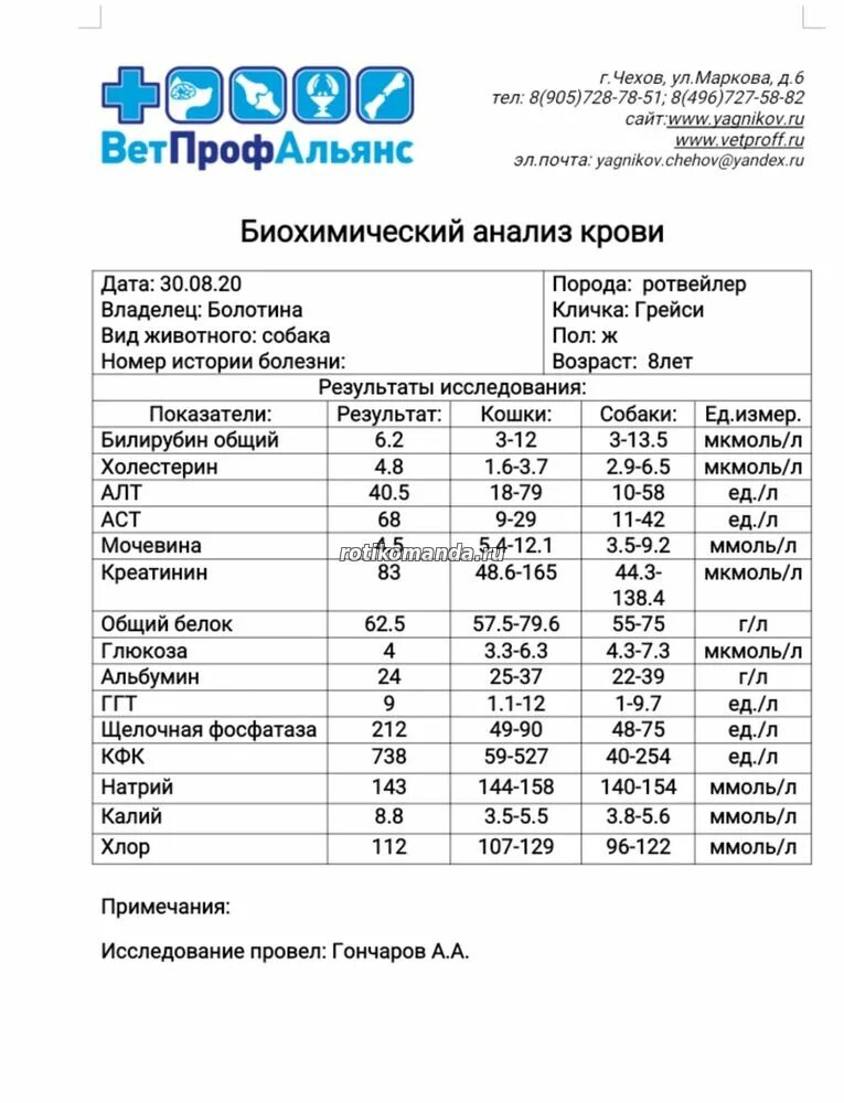 Норма сахара в крови у собак. Анализ крови собаки при пироплазмозе. Биохимия крови у собак при пироплазмозе. ОАК при пироплазмозе у собак. Анализ крови у собаки биохимия расшифровка.