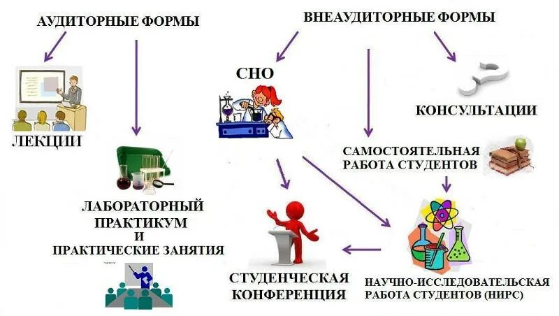 Самостоятельная работа студентов. Аудиторная самостоятельная работа студентов. Организация самостоятельной работы студентов. Самостоятельная работа студентов картинки.