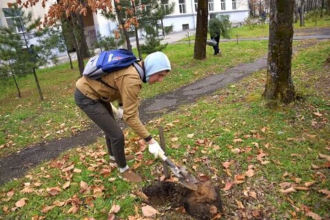 Деревцем окончание