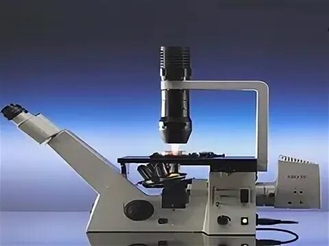 Микро др. Достоинства и недостатки микроскопа.