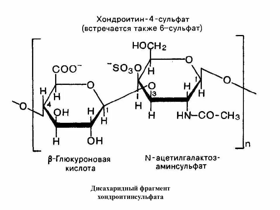 Хондроитин 6 сульфат строение. Хондроитин 4 сульфат формула структурная. Хондроитин сульфат 4 и 6. Хондроитин 4 сульфат состав. Хондроитин сульфат структурная формула.