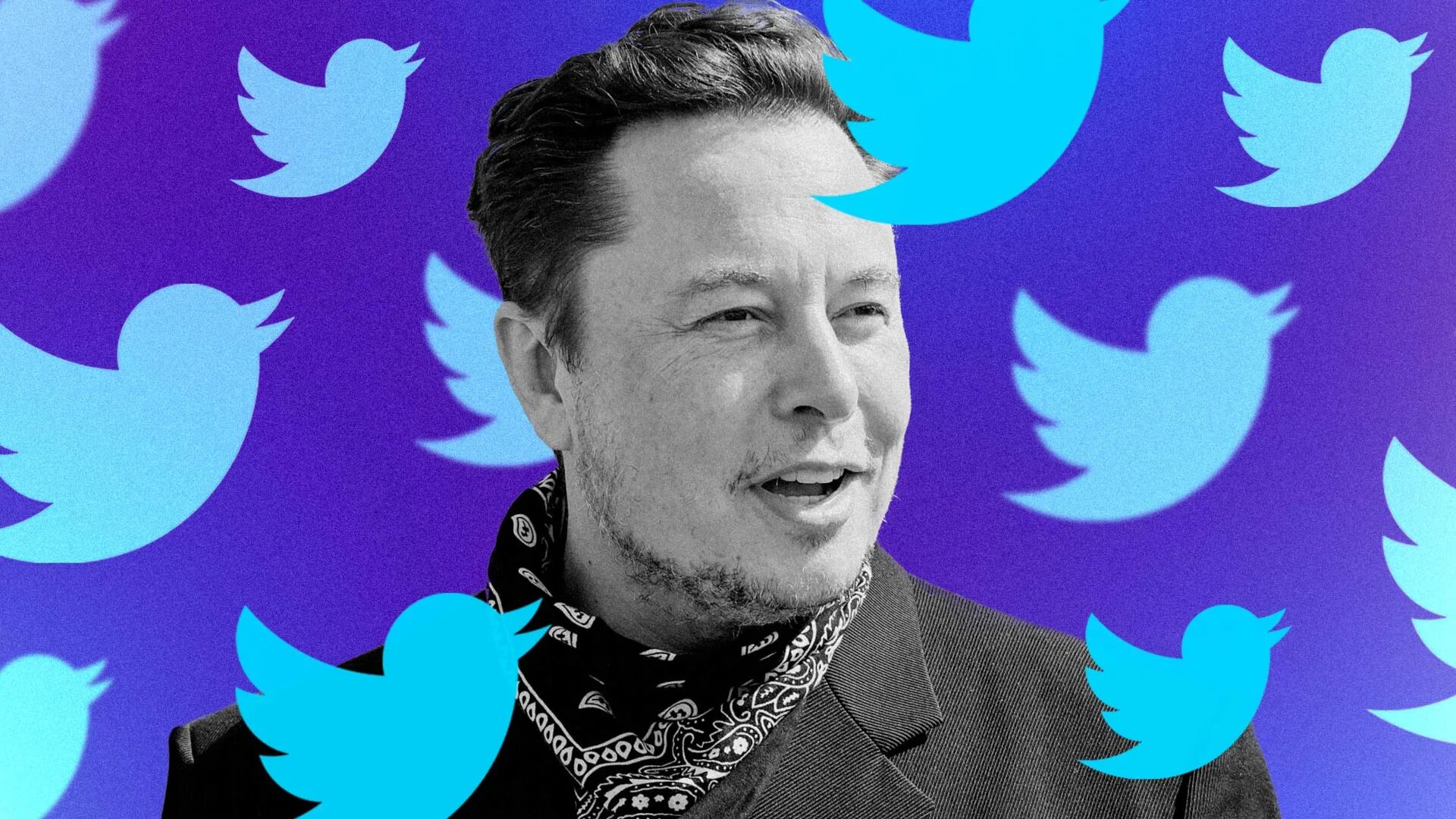 Elon Musk. Илон Маск twitter. Elon Musk Tweet. Elon Musk Твиттер. Маска купил твиттер