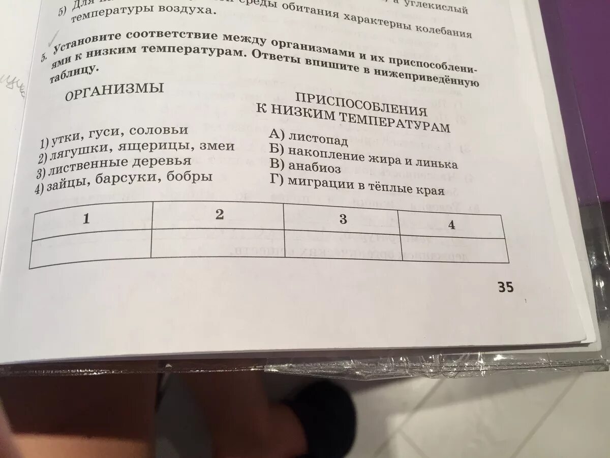 Установите соответствие между организмами растения и их функций. Установите соответствие между органами и их функциями. Установите соответствие между органами растения и их функциями. Установите соответствие ответы впишите.