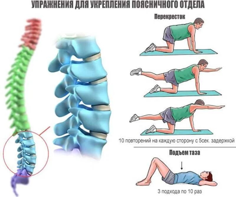 Горяев поясница. Гимнастика для пояснично крестцового отдела позвоночника. Занятия ЛФК при грыже пояснично-крестцового отдела позвоночника. Остеохондроз поясничного отдела позвоночника. Упражнения для спины поясничный отдел.