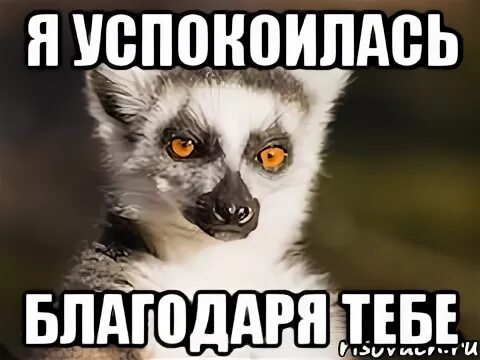 Надпись успокойся. Успокойся Мем. Я успокоилась. Успокойтесь Мем.