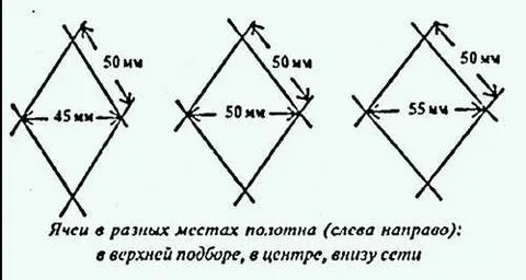 Как определить размер сети