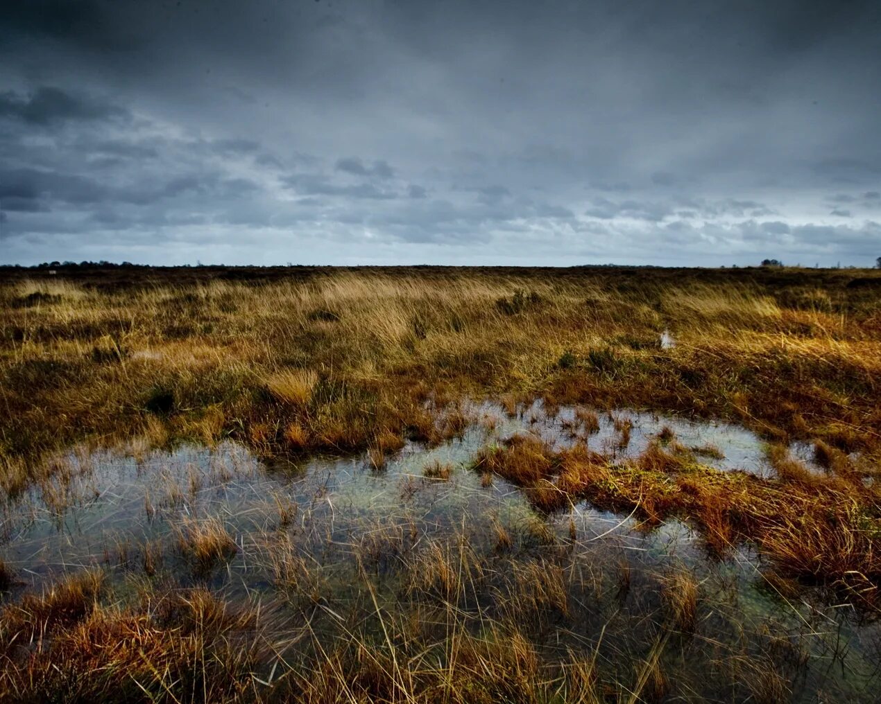 Болото северных краев. Торфяники Ирландии. Торфяные болота Исландии. Торф и торфяные болота. Торфяные болота Топь.