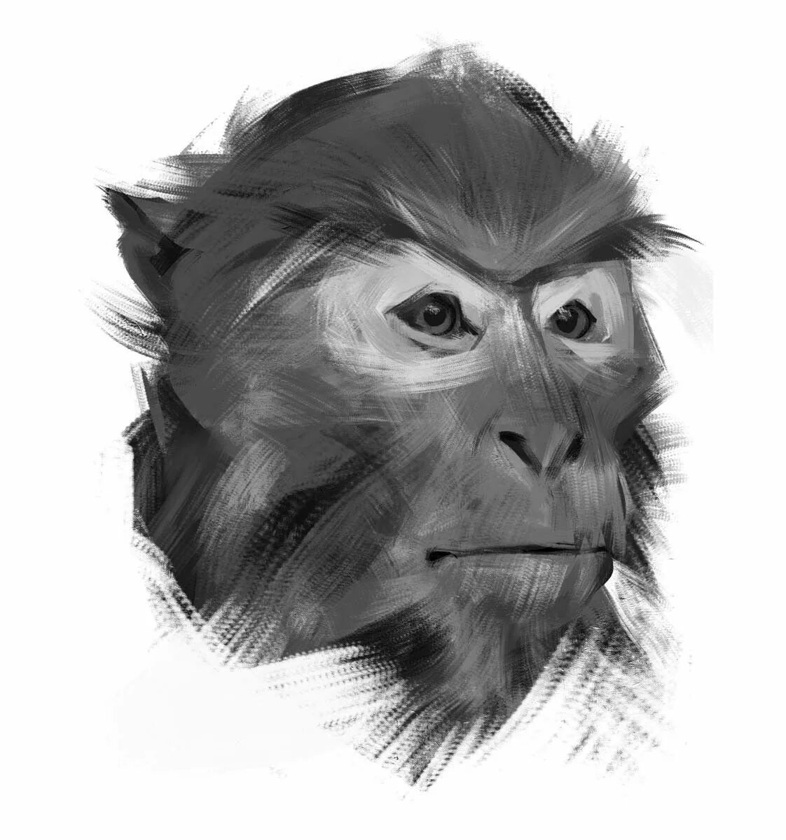 Monkey art