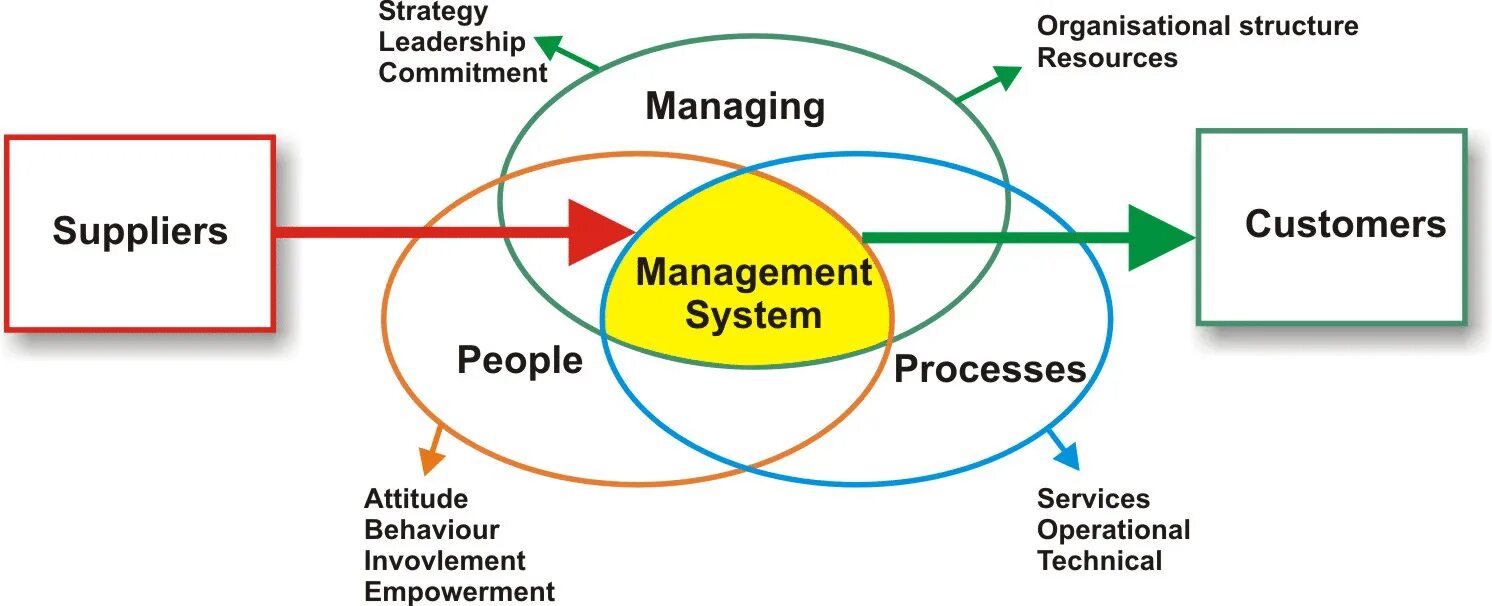 Business rules. HSEQ-система. Travel Management System программа. Эмблема системы Sellora Management System. Система управления HSEQ.