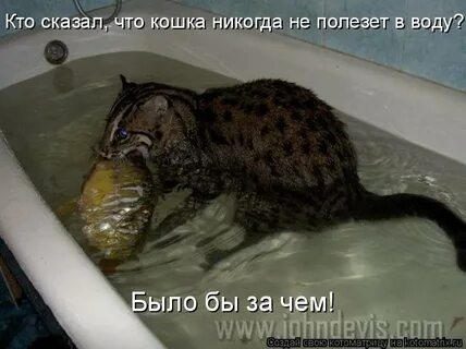 Больше не полезут