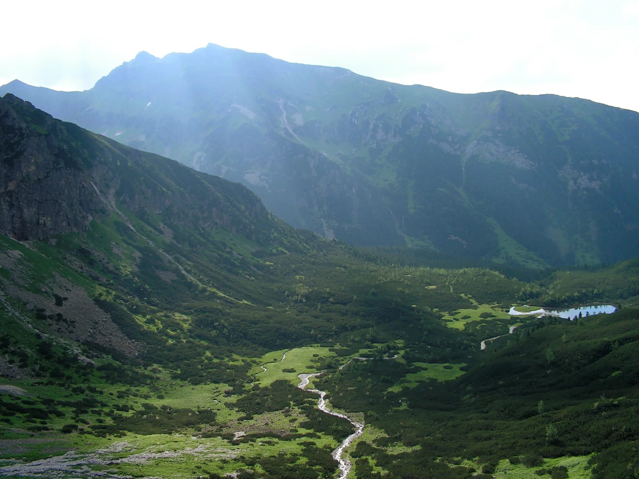 Грибы в долине чулышмана алтай. Использовать долина. Использовать долина. Использовать долина. Центральная долина чили.
