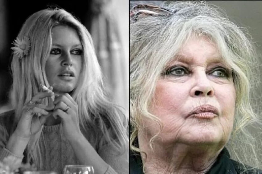Brigitte Bardot: Iconic French Actress