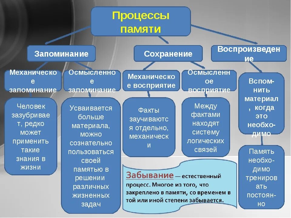 Процессы памяти человека