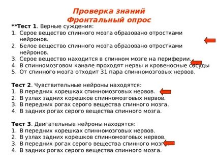 Белое вещество мозга образовано отростками нейронов