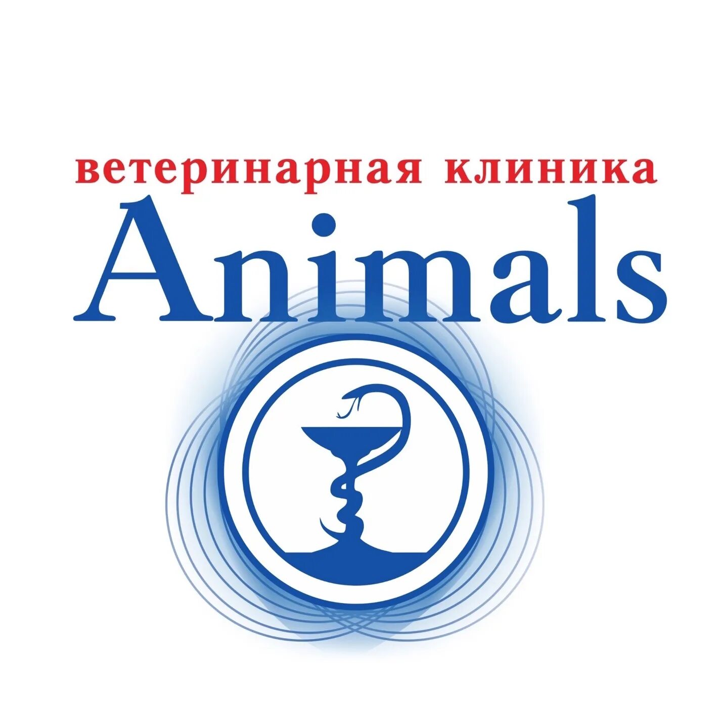 Энимал клиник. Анималс Волгоград ветклиника. Энимал клиник Астрахань. Animals ветеринарная клиника Курганинск. Энимал клиник ростов