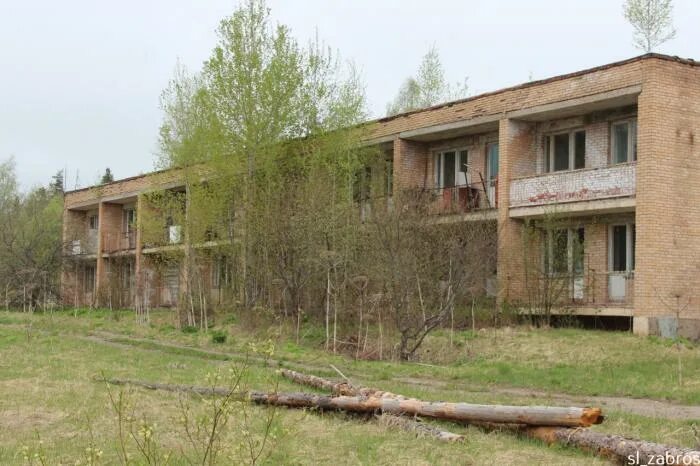 Лагерь подмосковье заброшка. Бывшие лагеря в подмосковье. Пионерский лагерь ссср заброшенный лагерь. Пионерский лагерь березки внииэм. Заброшенный пионерский лагерь березка.