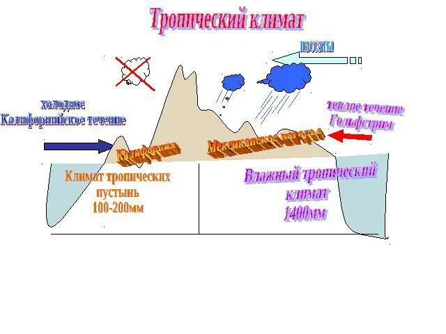 Климат северной америки презентация 7 класс география. Климат Северной Америки. Климатические пояса Северной Америки. Тропический пояс Северной Америки характеристика. Климат Северной Америки 7 класс презентация.