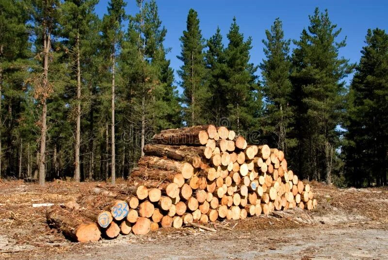 Logging persistent