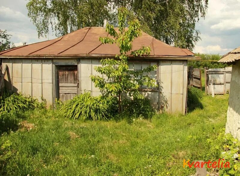 Березово острогожский. Село гнилое острогожск. Березово острогожский. Березово острогожский. Усадьба каверино русановых рамонь березово.