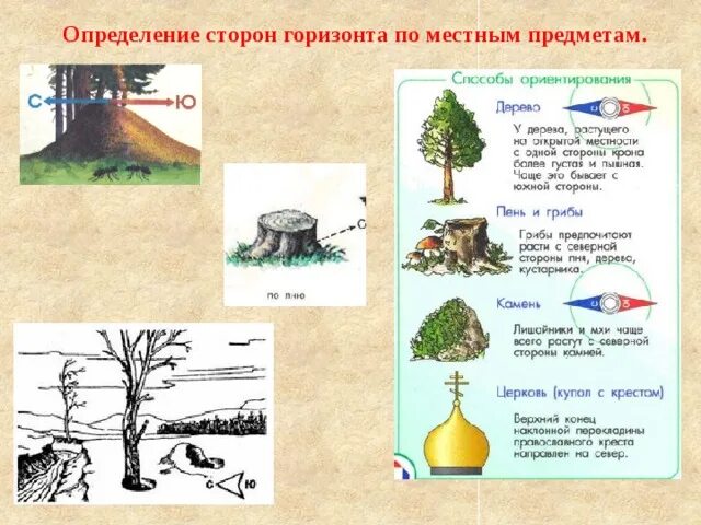 Ориентирование по признакам местных предметов. Определение сторон горизонта по местным признакам. Способы ориентирования на местности по местным признакам. Определение сторон горизонта по признакам местных предметов. По карте определите в каких природных условиях