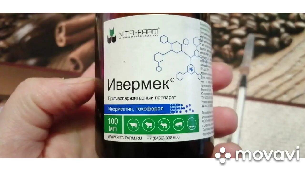 Ивермек инструкция по применению для животных овец. Ивермек. ивермек противопаразитный препарат. ивермек для крс дозировка.