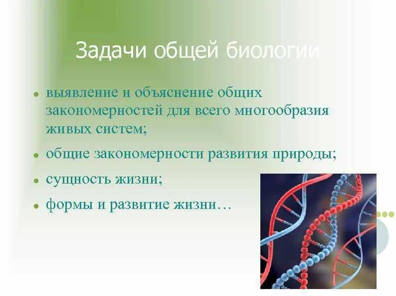 Задачи общей биологии. Задачи общей биологии кратко. Предмет, цели и задачи общей биологии. Предмет и задачи общей биологии кратко.