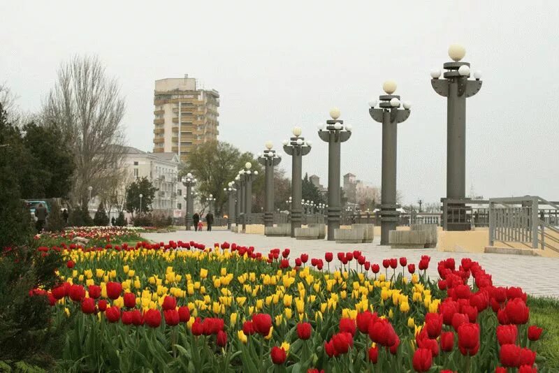 Ростов на дону город анапа. Ростов новороссийск. Анапа ейск маршрут. Дорога от ростова до геленджика. Ростов на дону анапа карта дорог.