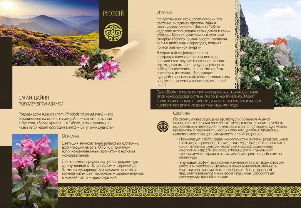 Рододендрон саган дайля. Трава в бурятии саган дайля. Саган дайля в составе чаёв. Саган дайля полезные свойства отзывы. Саган дайля полезные свойства отзывы.