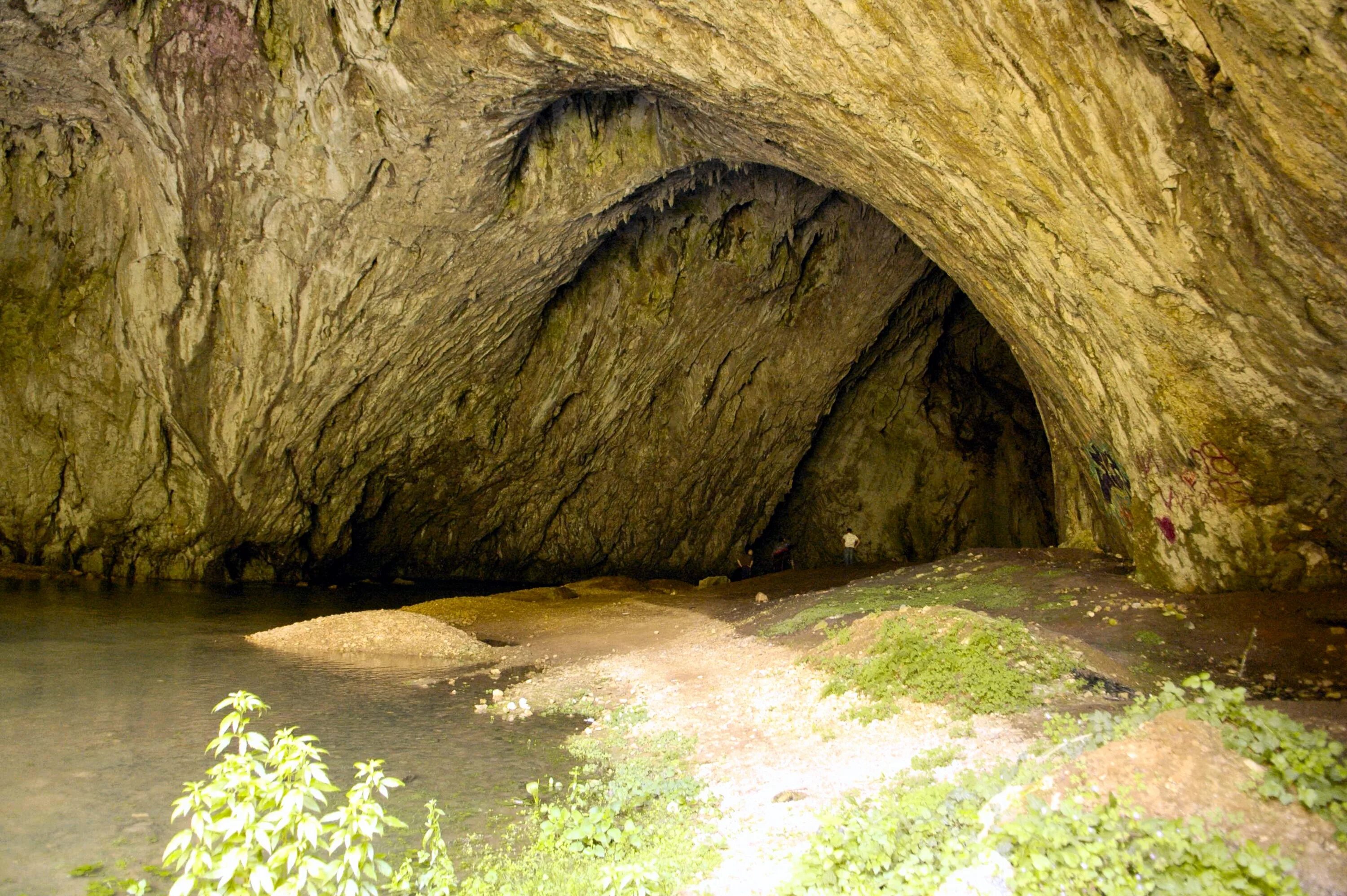 Cave v. Пещера Дзудзуана. Худугунская пещера. Деветакская пещера. Катниковская пещера.