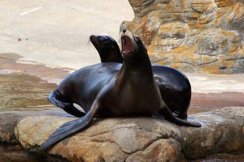 Top 10 Things To Do In Galapagos Islands 2025 - WOW Travel